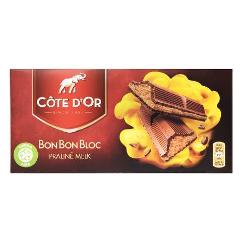 Cote d'Or Bonbonbloc Praline Noisette